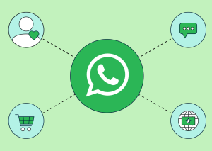 WhatsApp Business Setup