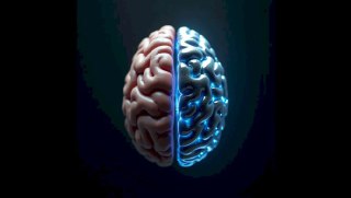 The Illusion of Intelligence: LLMs Are Not the Thinking Machines We Expect